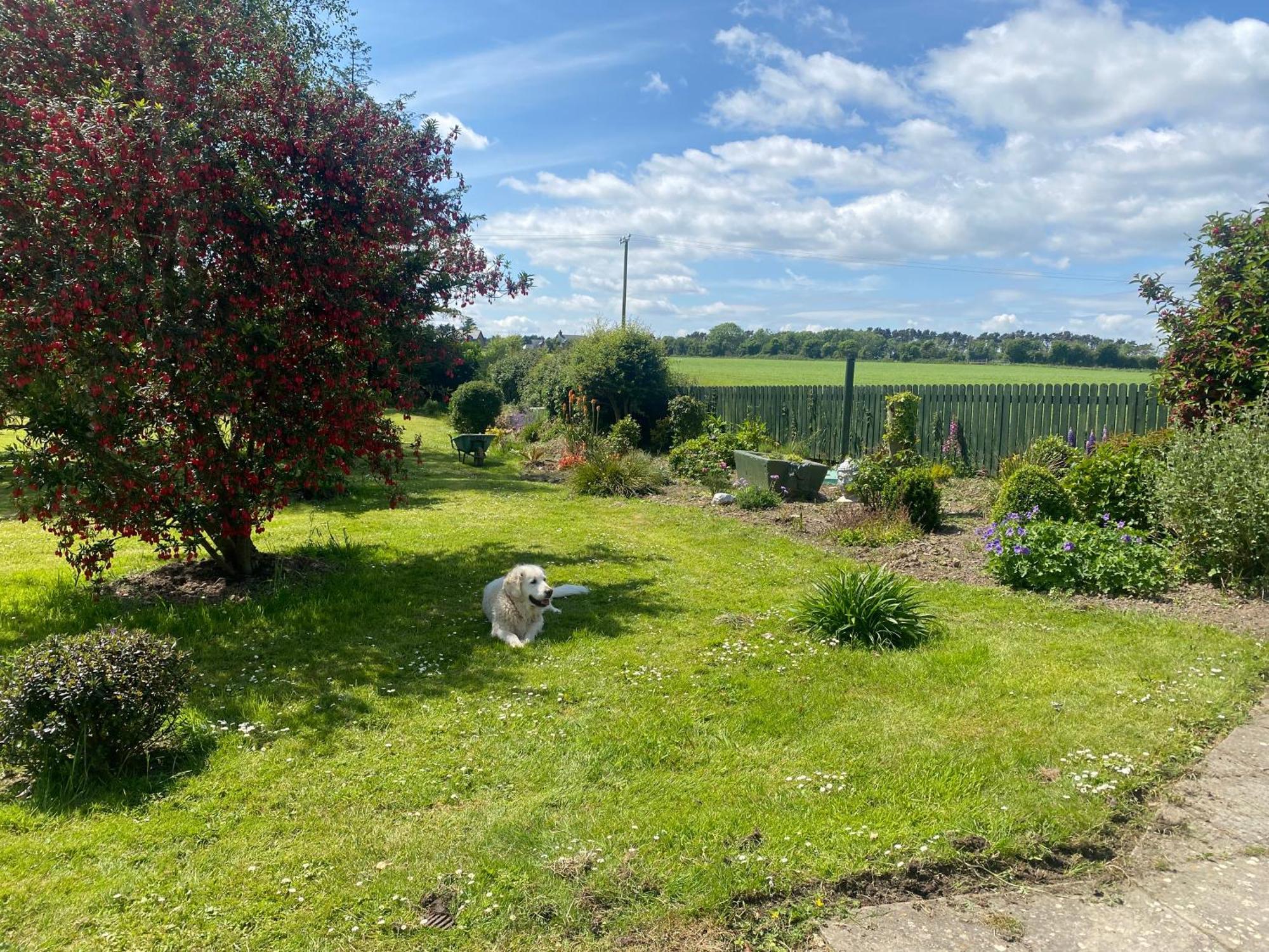 Vila Nolans Organic Farm Wexford Exteriér fotografie