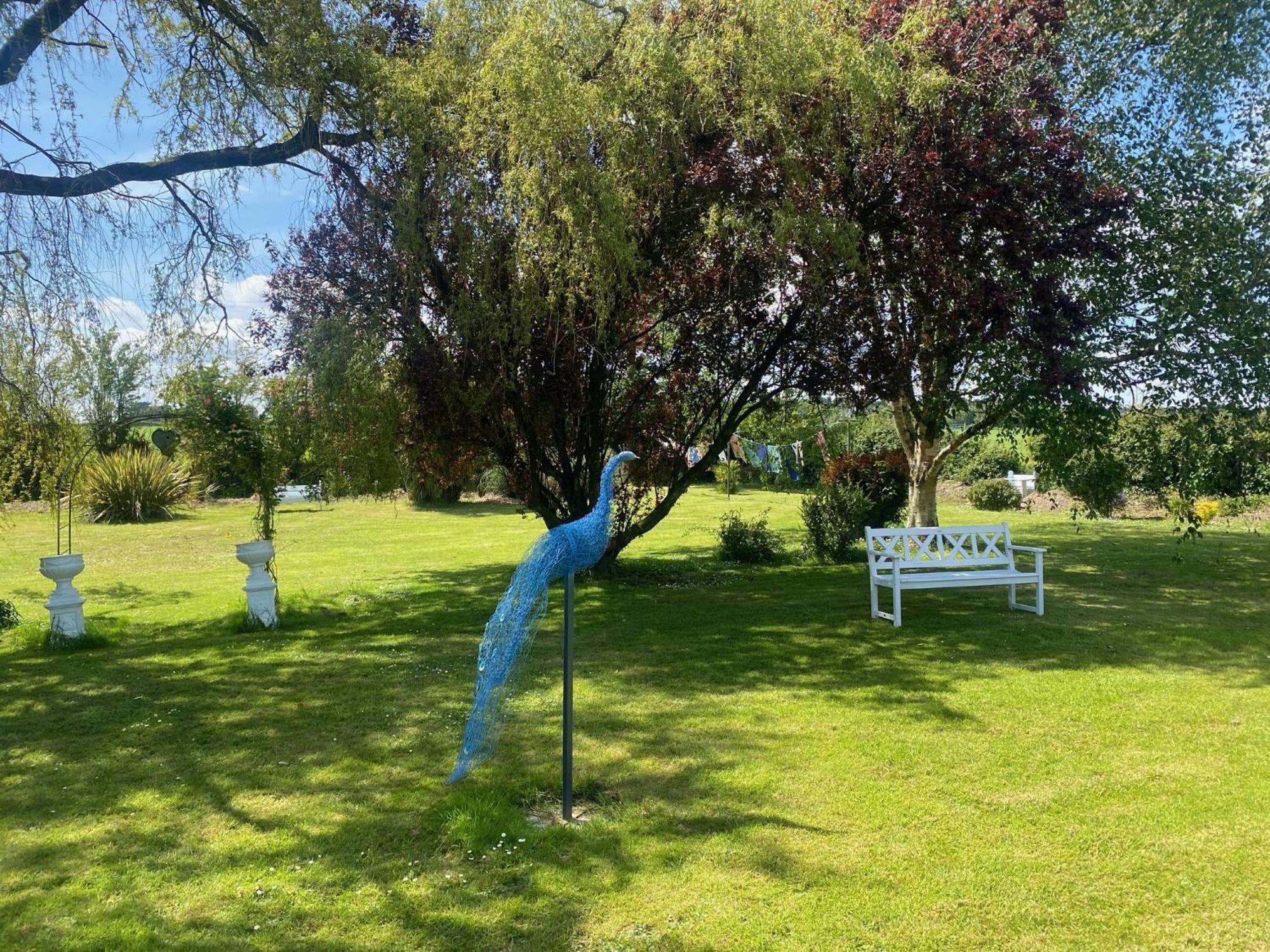 Vila Nolans Organic Farm Wexford Exteriér fotografie